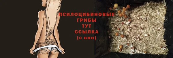 jwh Белокуриха