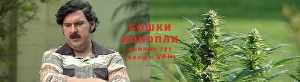 СК Беломорск