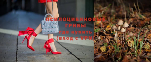 jwh Белокуриха