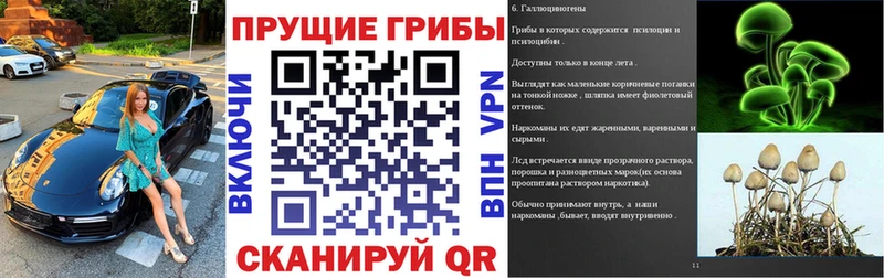 Галлюциногенные грибы мицелий  Купить  Мамадыш 